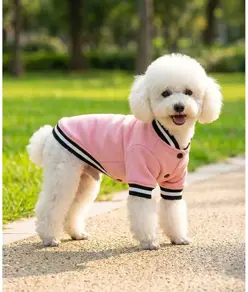 Giacca varsity per cani Portman & Pooch