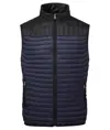 Gilet bicolore Domain 2786