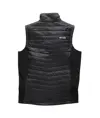 Gilet da lavoro Trade Scruffs