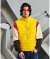 Gilet imbottito a righe sottili Tribe 2786