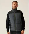 Gilet imbottito Altoona Regatta Professional