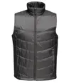 Gilet imbottito Stage II Regatta Professional