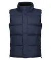 Gilet imbottito termico Northdale Regatta Professional