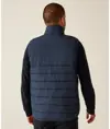 Gilet termico Essential Regatta Professional
