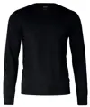 Maglia in lana merino Cashwool® extra fine Beaufort Nimbus