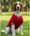 Maglietta da calcio per cani Portman & Pooch