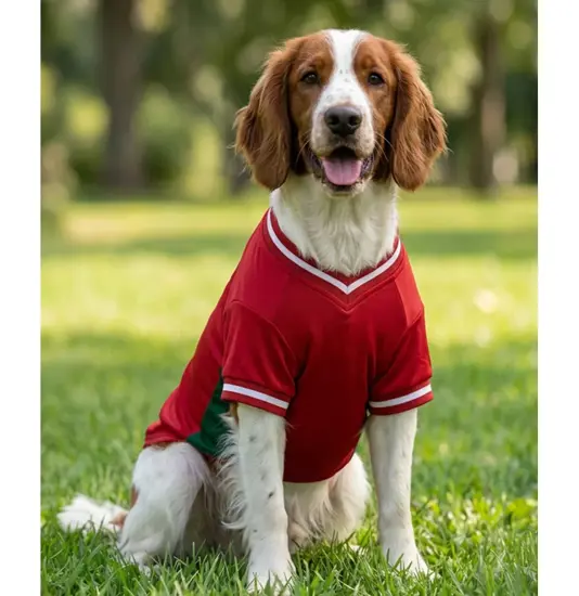 Maglietta da calcio per cani Portman & Pooch