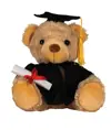 Orsetto di laurea Mumbles