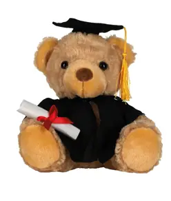 Orsetto di laurea Mumbles
