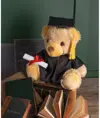 Orsetto di laurea Mumbles