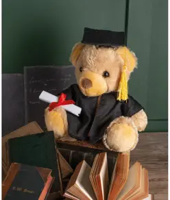 Orsetto di laurea Mumbles