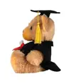 Orsetto di laurea Mumbles