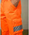 Pantaloni cargo ProRTX High Visibility