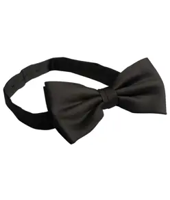 Papillon Premier