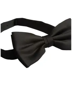 Papillon Premier