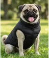Piumino per cani Portman & Pooch