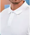 Polo da uomo in maglia super liscia Asquith & Fox
