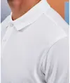 Polo da uomo in maglia super liscia Asquith & Fox