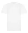 Polo The 100 AWDis Just Polo's