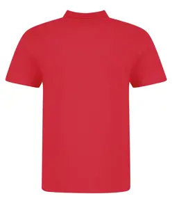 Polo The 100 AWDis Just Polo's