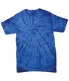 T-shirt bambino con stampa ragno tono su tono Colortone