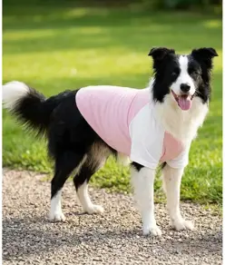 T-shirt per cani con maniche raglan Portman & Pooch