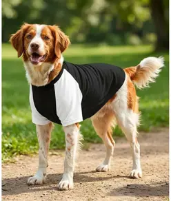 T-shirt per cani con maniche raglan Portman & Pooch