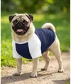 T-shirt per cani con maniche raglan Portman & Pooch