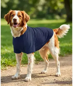 T-shirt per cani con maniche raglan Portman & Pooch