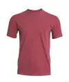 T-shirt pesante adulto Comfort Colors