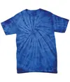 T-shirt spider tono su tono Colortone