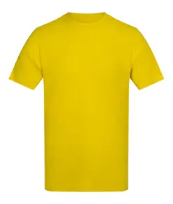 T-shirt The AWDis 150 AWDis