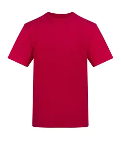 T-shirt The AWDis 150 AWDis