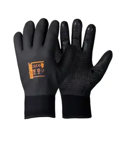 Guanti da lavoro Rostaing WINTERPRO