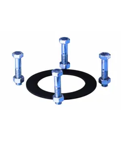 Set completo di guarnizioni con bulloni per idranti