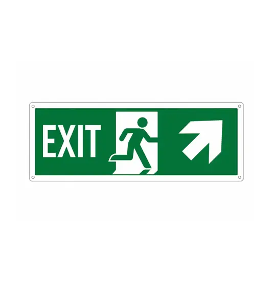 etichette adesive scritta 'exit' con freccia avanti / a destra