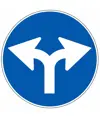 Cartello direzione consigliata destra/sinistra