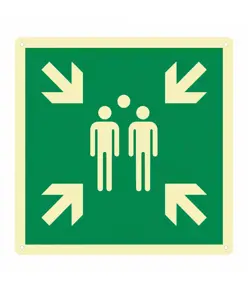Cartello fotoluminescente  Punto di raccolta