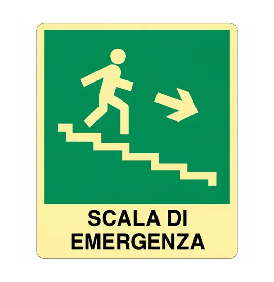 Cartello fotoluminescente pvc  'Scala di emergenza discesa'