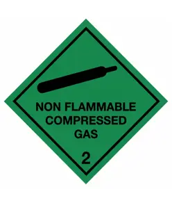 Etichetta adesiva  Non flammable compressed gas