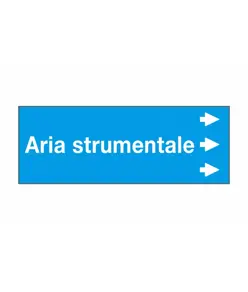Etichette "ARIA STRUMENTALE "