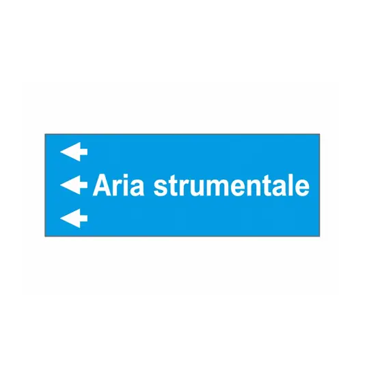 Etichette "ARIA STRUMENTALE "