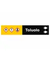 Etichette "TOLUOLO"
