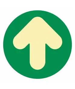 frecce autoadesive fotoluminescenti su disco
