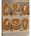Trofeo personalizzato inciso a legno