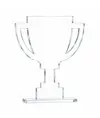 Trofeo personalizzato stampato su plexiglass