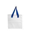 Borsa frigo in PP laminato 120 g/m2 , manici colorati, chisura zip