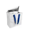 Borsa frigo in PP laminato 120 g/m2 , manici colorati, chisura zip