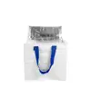 Borsa frigo in PP laminato 120 g/m2 , manici colorati, chisura zip