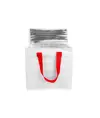 Borsa frigo in PP laminato 120 g/m2 , manici colorati, chisura zip